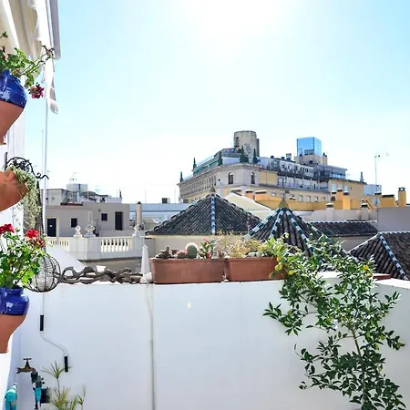 Alohamundi Campana Apartment Seville Exterior photo