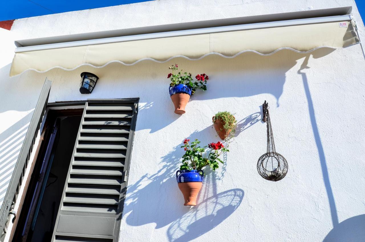 Apartament Alohamundi Campana Sewilla